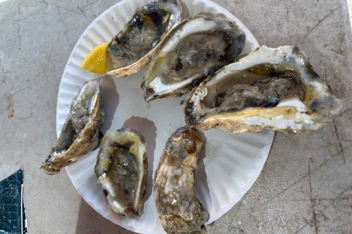 Unpack Boston's Flavorful History: Cod, Tea, and Candy Walking Tour photo 3