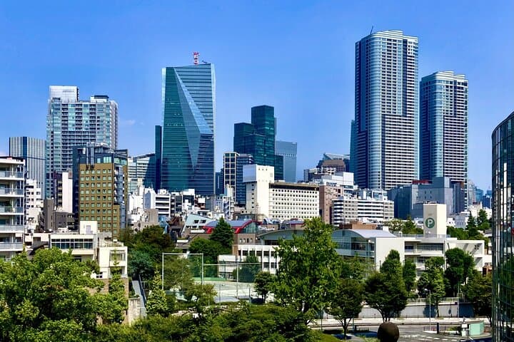 Tokyo One-Day Customizable Private Walking Tour with Hotel Pickup