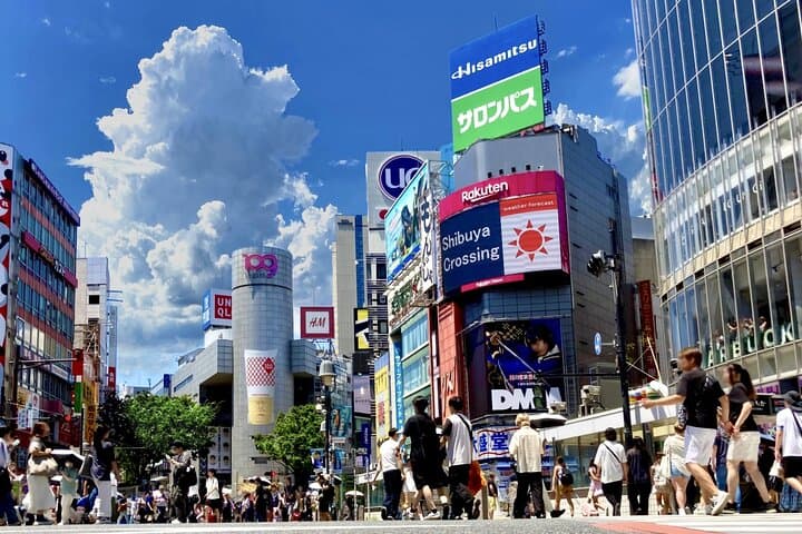 Tokyo One-Day Customizable Private Walking Tour with Hotel Pickup photo 2