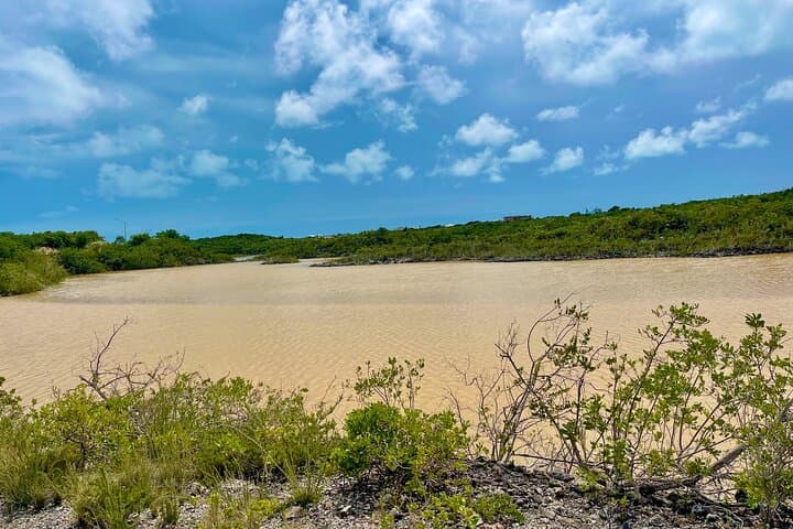 Providenciales Island Tour: 2–3 Hour Scenic Adventure to The Hole, Beaches & Bird Sanctuary photo 4