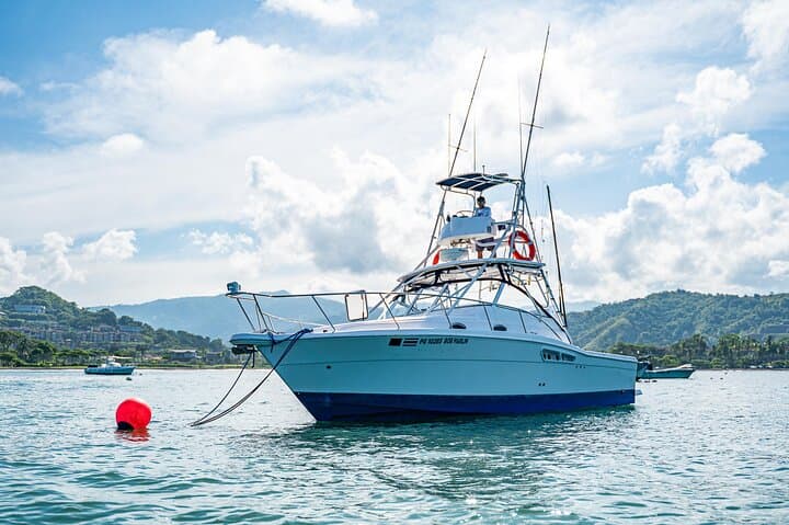 Jaco Deep-Sea Fishing Charters — Marlin, Mahi-Mahi & Offshore Action photo 3