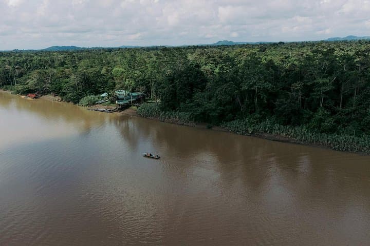 Kinabatangan River Wild Cruise: Sunrise, Sunset & Night Wildlife Tours