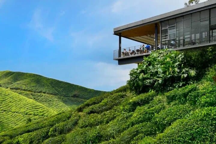 One-Day Cameron Highlands Tour from Ipoh: Tea Plantations, Farms & Waterfalls photo 2