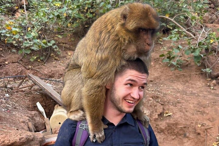 Ouzoud Falls Day Trip from Marrakech: Hike, Boat Ride & Barbary Macaques