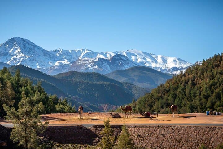 Ourika Valley Full-Day Atlas Mountains Trip from Marrakech