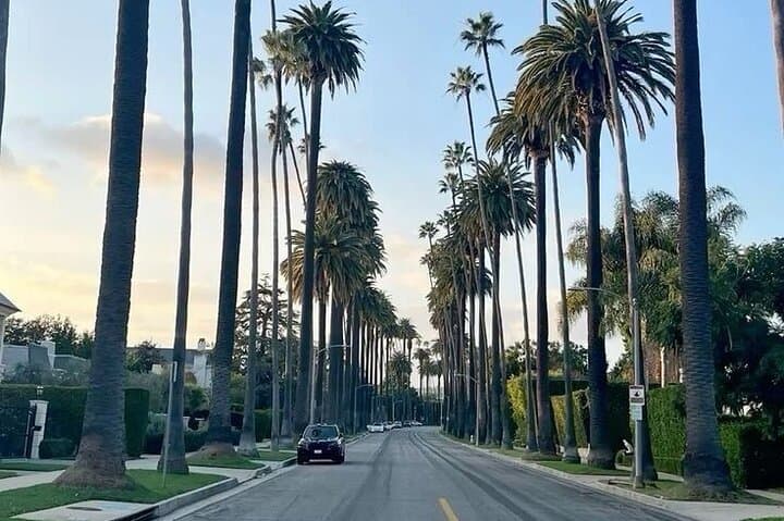Complete Los Angeles Sightseeing Tour: Griffith Observatory to Santa Monica Pier photo 3