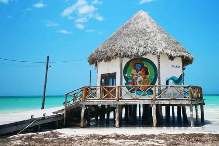 Holbox Island Day Tour: Beaches, Bioluminescence & Wildlife photo 3