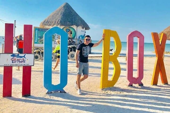 Holbox Island Day Tour: Beaches, Bioluminescence & Wildlife