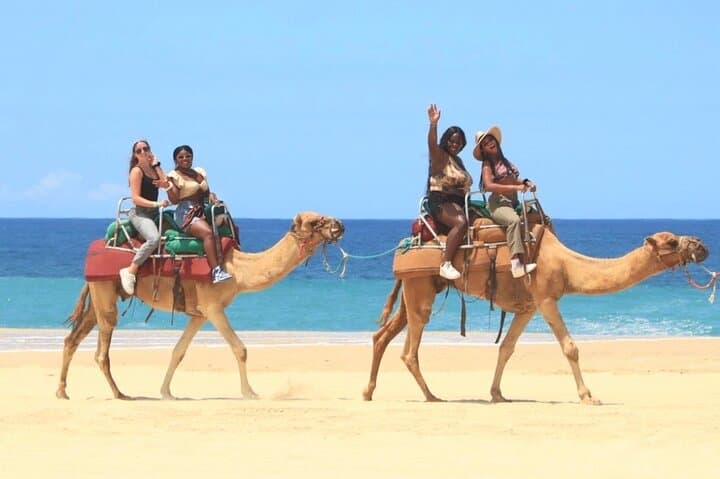 Cabo San Lucas ATV Combo: Choose Two Adventure Choices Along Desert and Coast photo 2