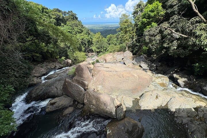 Private El Yunque Adventure: El Toro Trail, Hidden Waterfalls & River Jump photo 5