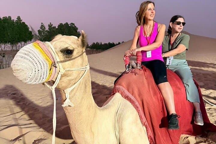 Dubai Evening Desert Safari: Sunset Dunes, Dune-Bashing & Bedouin Camp photo 5