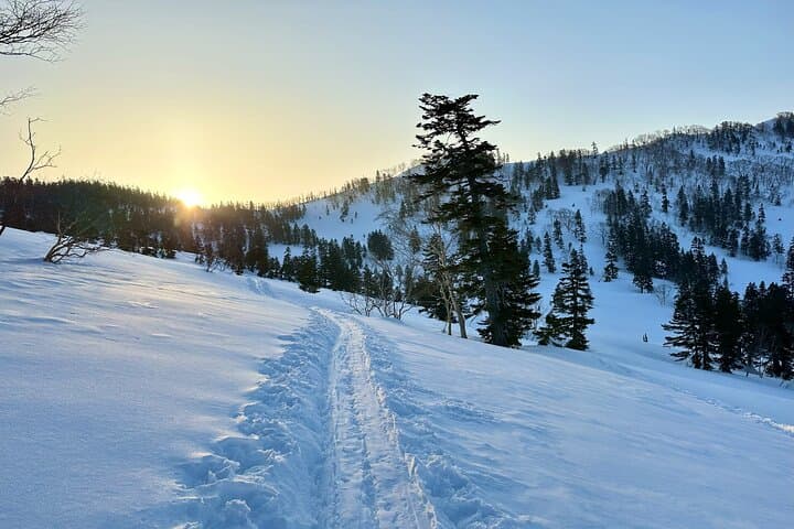 Private Custom Ski & Snowboard Guide in Hakuba Valley photo 6