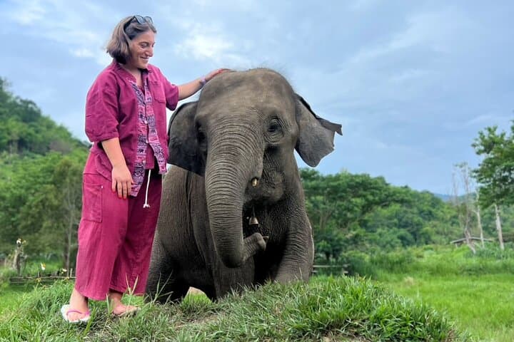 Chiang Mai Day Tour: Sticky Waterfall, Elephant Sanctuary & Wat Baan Den photo 3