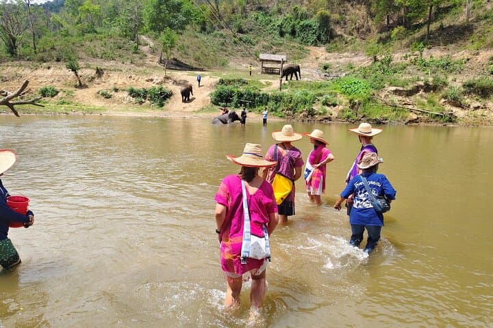 Chiang Mai Day Tour: Sticky Waterfall, Elephant Sanctuary & Wat Baan Den photo 5