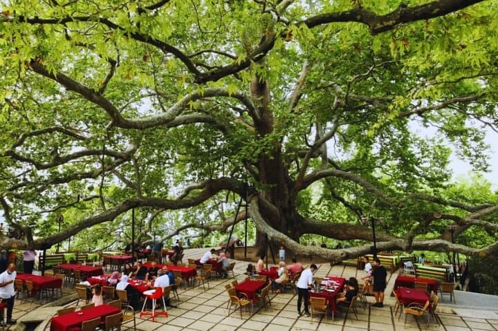 Bursa & Uludağ Full-Day Tour: Cable Car, Covered Bazaar & Mountain Lunch photo 6