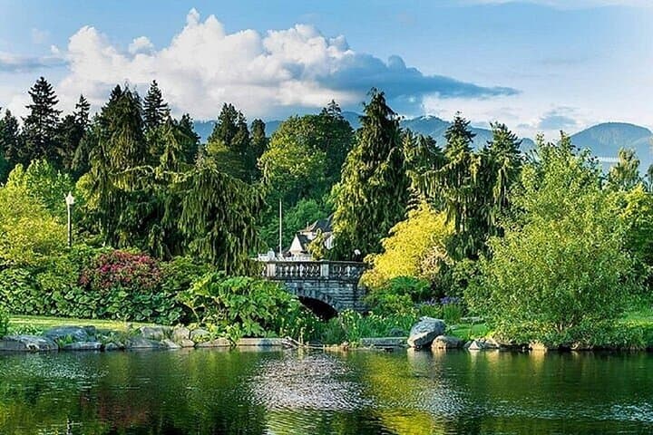 Vancouver Lookout & Capilano Suspension Bridge: Full-Day City and Rainforest Tour photo 2