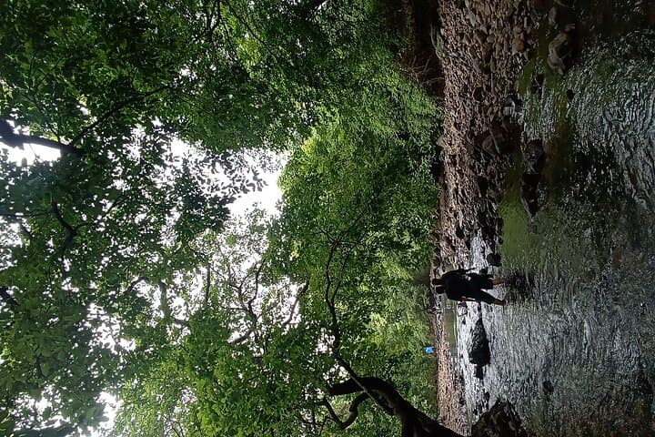 Mumbai Nature & Wildlife Photography Trail at Sanjay Gandhi National Park