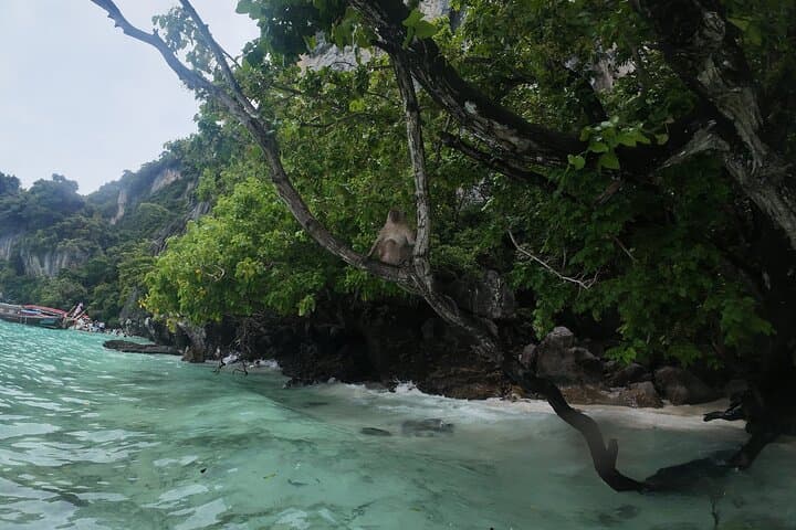 Phi Phi Islands Speedboat Day Tour from Phuket — Maya Bay, Snorkeling & Khai Island photo 5