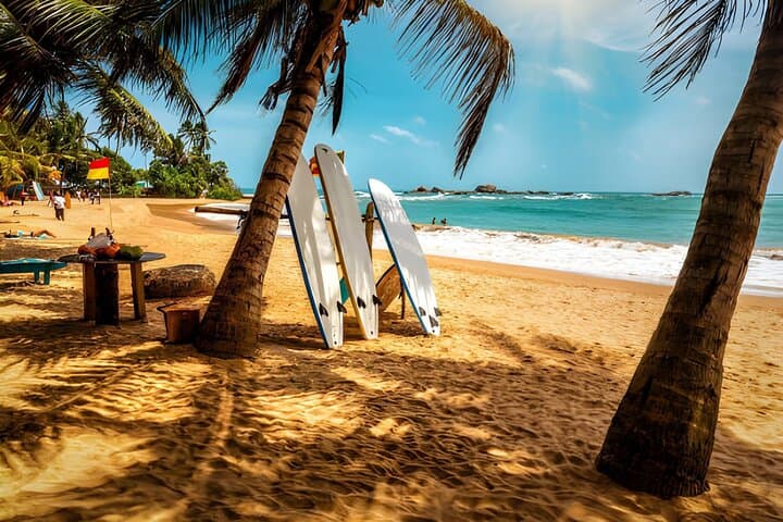 8-Day Private Tour: A Taste of Sri Lanka — Culture, Wildlife & Beaches photo 4