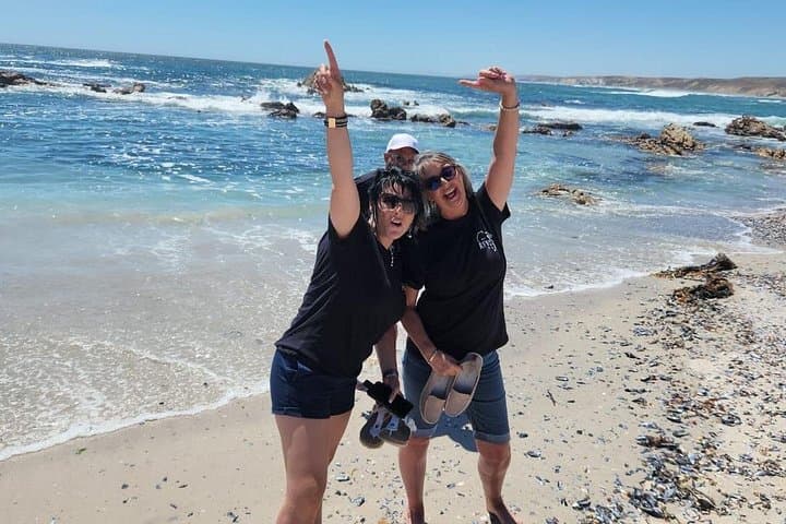 7-Day West Coast 4x4 Wildflower Self-Drive Lodge Tour (Namaqualand) photo 3