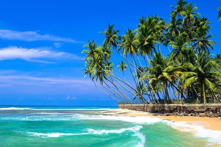 Galle & South Coast Day Tour: Madu River, Turtle Hatchery & Beaches photo 4