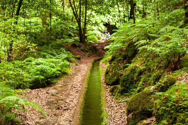 Levada do Rei PR18: Scenic Hike in Madeira with Transfer photo 4