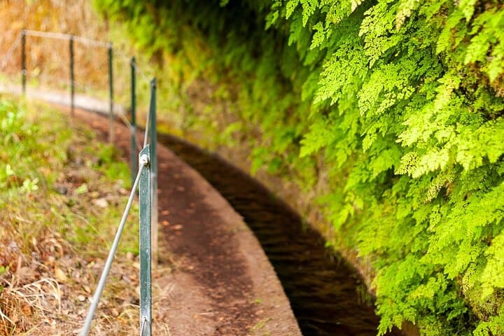 Levada do Rei PR18: Scenic Hike in Madeira with Transfer photo 5