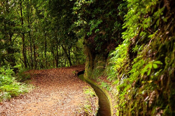 Levada do Rei PR18: Scenic Hike in Madeira with Transfer photo 6