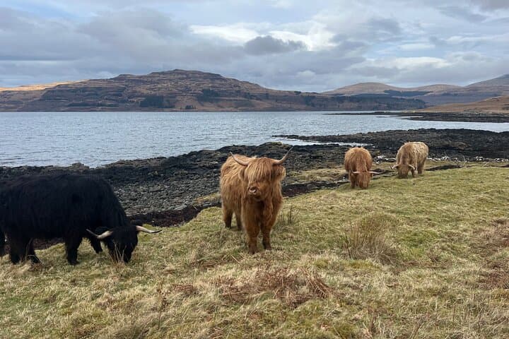 Isle of Mull & Iona: Private 4-Day Guided Tour from Oban photo 6