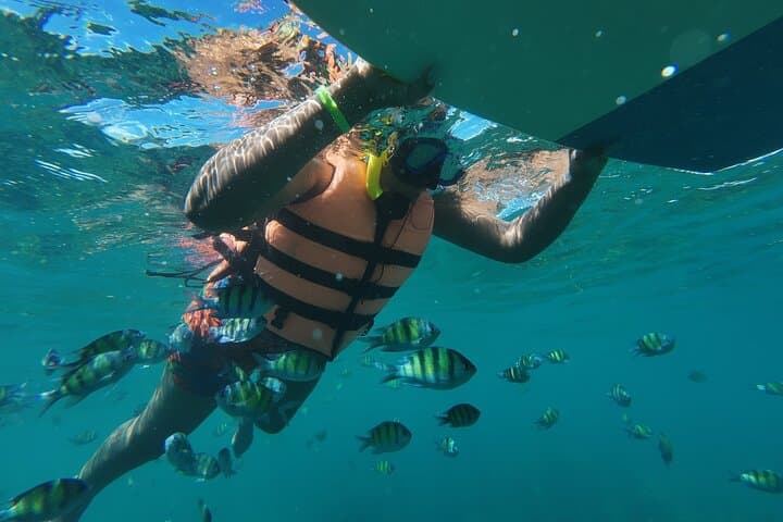 Krabi Early-Bird Phi Phi & 4-Islands Speedboat Adventure Tour photo 6