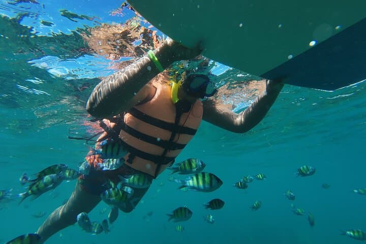 Phi Phi Islands Snorkel & Lagoon Day Tour from Phuket — Maya Bay, Pileh & Khai photo 4