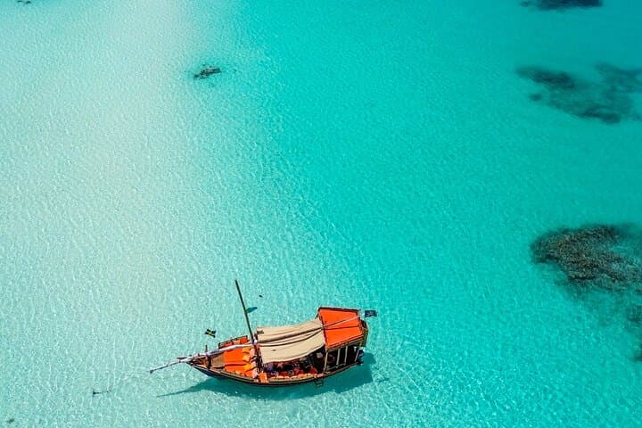 Sailing to Mnemba: Full-Day Dhow Snorkel, Dolphins & Sandbank Adventure photo 4
