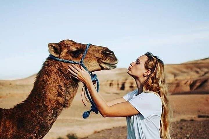 Agafay Desert Sunset Quad Bike & Camel Ride with Berber Dinner Show from Marrakech photo 3