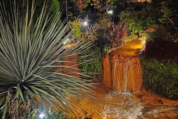 São Miguel Vulcanic Experience in Furnas — Thermal Baths, Fumaroles & Tea photo 3