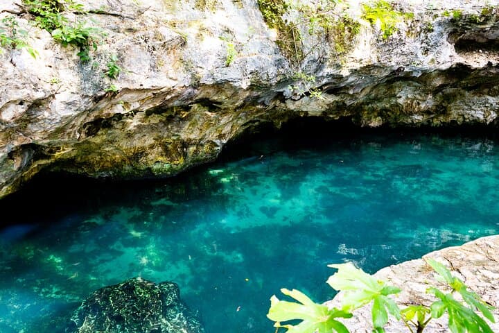 Explore Casa Tortuga Cenotes: Guided Swim Through Four Tulum Cenotes photo 4
