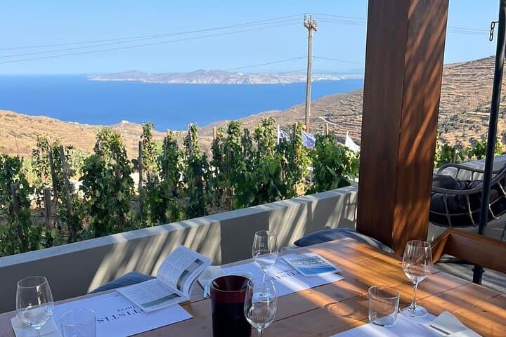 Winery Tour and Tasting in Tinos: Meet the Winemaker in Steni photo 3