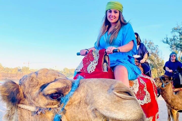 Sunset Camel Ride on the Souss River: Flamingos, Ocean Views & BBQ in Agadir