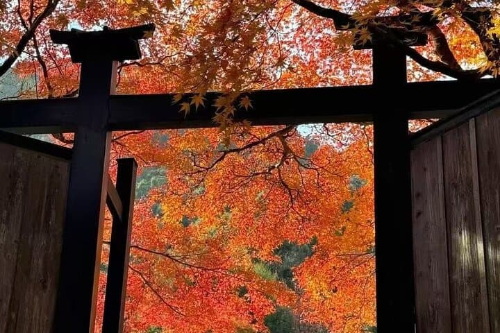Private 10-Hour Mount Fuji & Lake Kawaguchi Tour from Tokyo photo 5