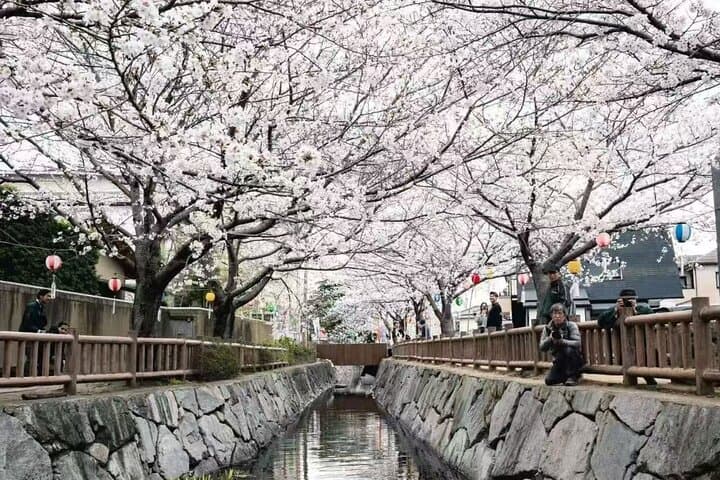 Private 10-Hour Mount Fuji & Lake Kawaguchi Tour from Tokyo photo 6