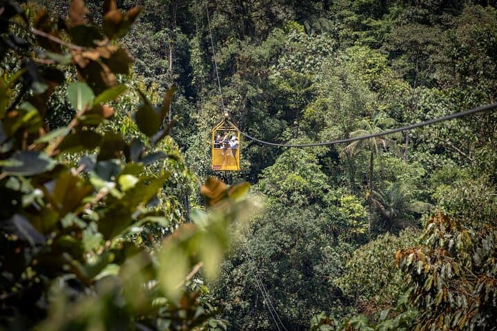 Mindo Cloud Forest Day Trip from Quito: Hummingbirds, Tarabita & Waterfalls photo 3