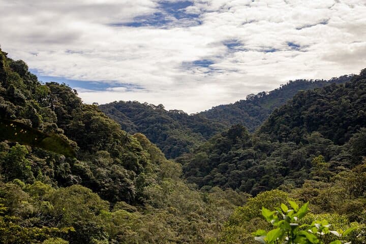 Mindo Cloud Forest Day Trip from Quito: Hummingbirds, Tarabita & Waterfalls photo 4
