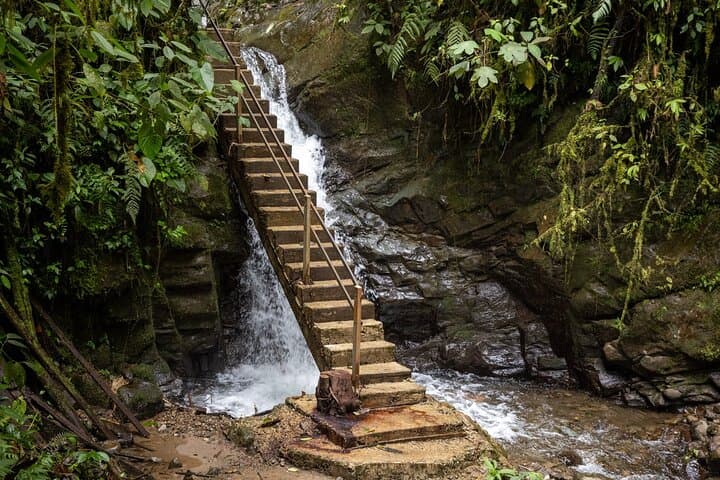 Mindo Cloud Forest Day Trip from Quito: Hummingbirds, Tarabita & Waterfalls photo 5