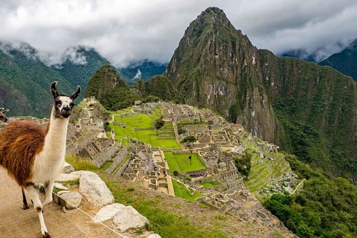 Machu Picchu Full-Day Tour from Cusco: Train, Cloud Forest & Citadel Highlights photo 3