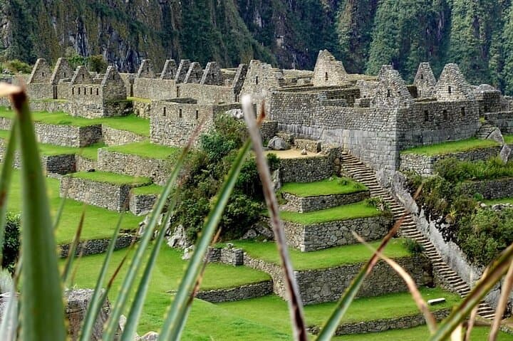 Machu Picchu Full-Day Tour from Cusco: Train, Cloud Forest & Citadel Highlights photo 5