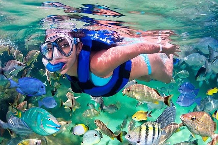 Xel-Há All-Inclusive Family Park: Snorkel Underground Rivers & Beach Relaxation photo 2