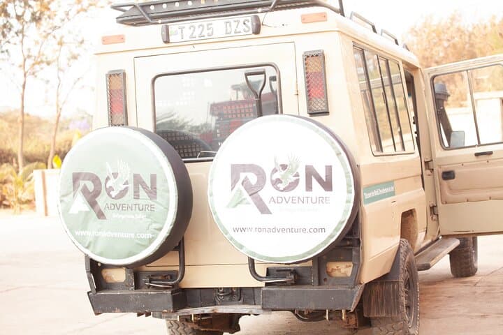 6-Day Private Tanzania Safari: Tarangire, Ngorongoro & Serengeti Wildlife Tour photo 4