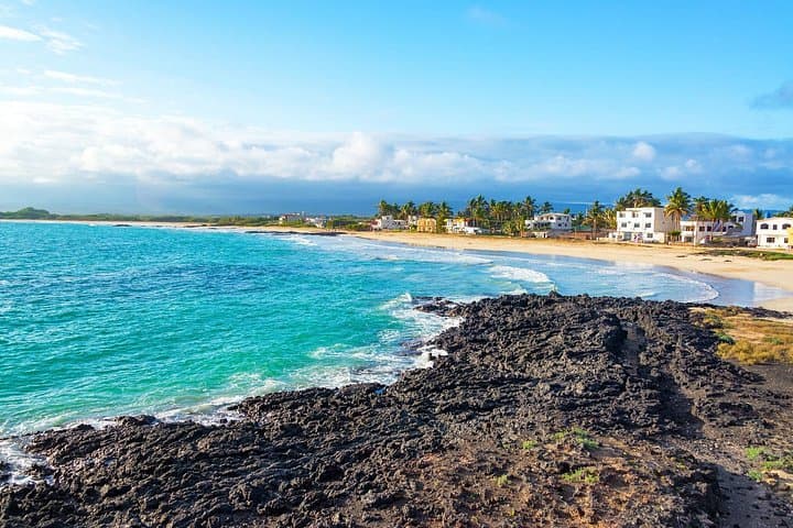Tintoreras Islet: Private Shore Tour for Wildlife & Snorkeling in the Galapagos