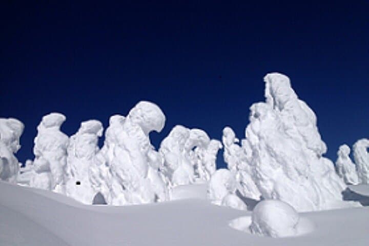 Zao Snow Monsters: 2-Day Juhyo Night Illumination and Onsen Escape from Tokyo photo 3
