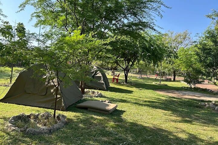 3-Day Tanzania Safari: Serengeti, Ngorongoro Short Camping Adventure photo 6