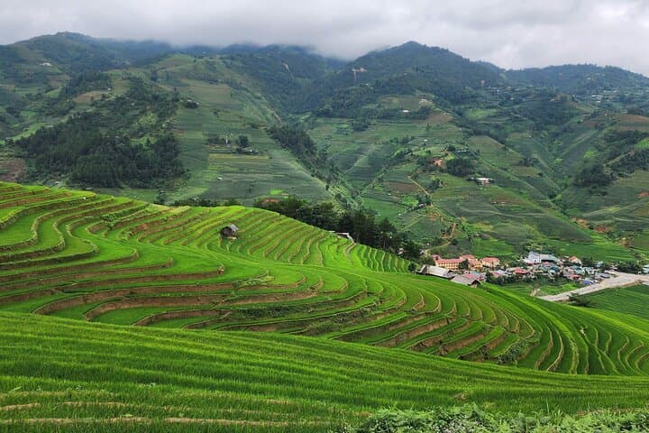 3-Day Trekking Mu Cang Chai Hidden Trails: Off-Route Rice Terraces & Homestays photo 4